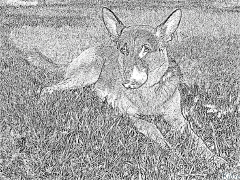 german shepherd Coloring Pages To Print